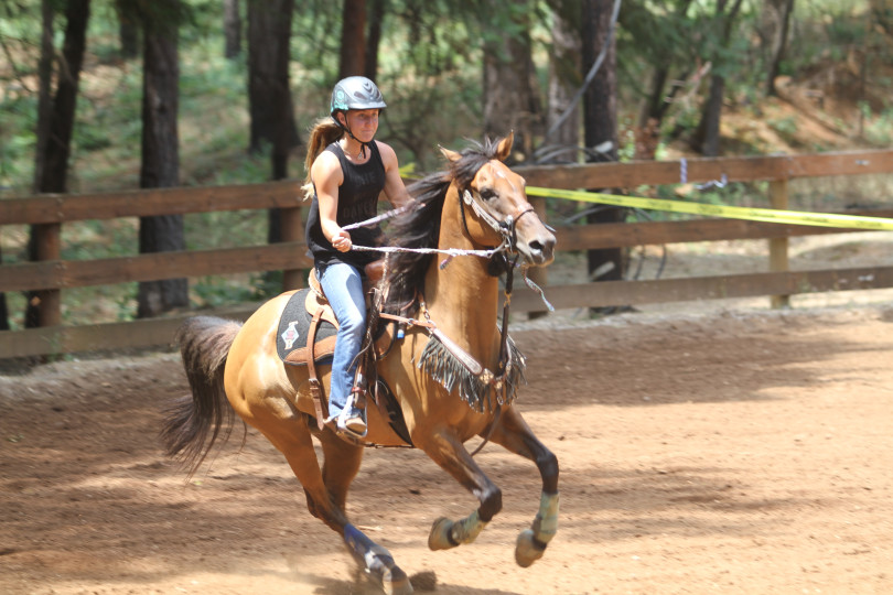 The Role of Determination in Horseback Riding