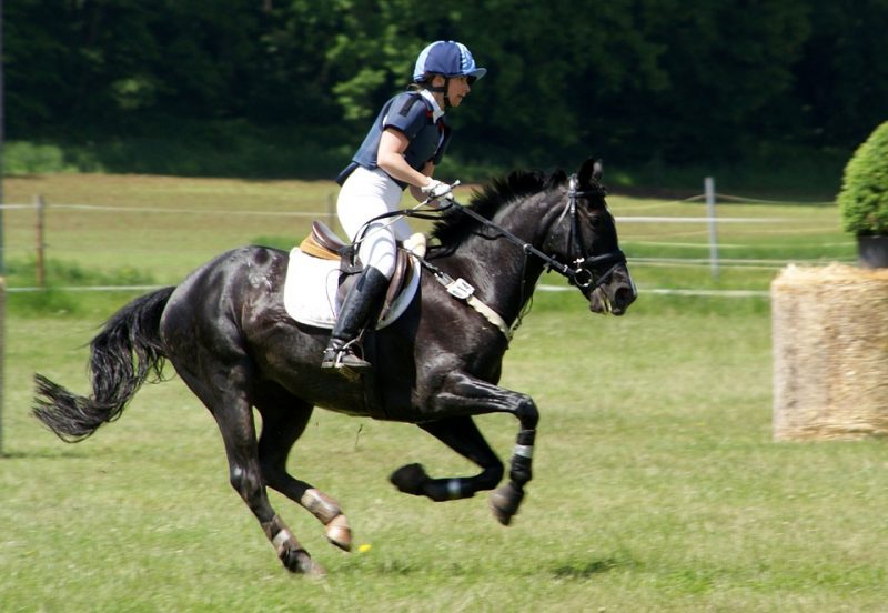 The Role of Determination in Horseback Riding