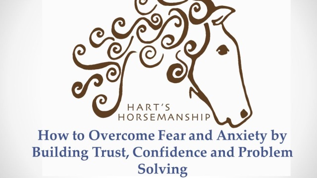 The Role of Trust in Overcoming Riding Challenges