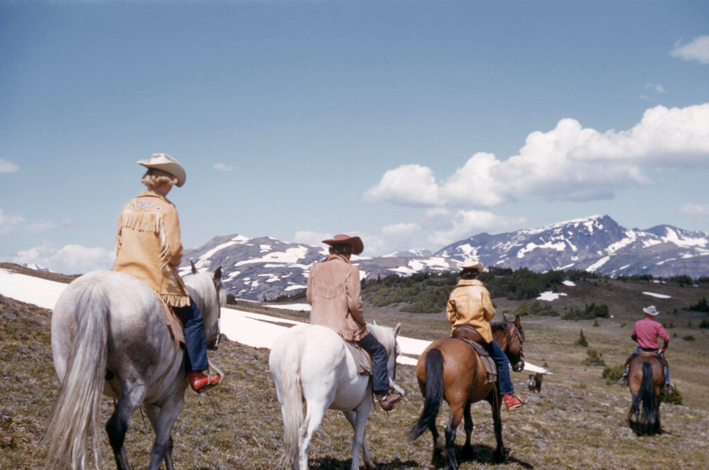 The Thrill of Horseback Riding across Different Terrains