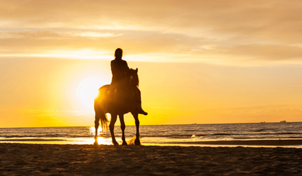 The Thrill of Horseback Riding at Sunrise