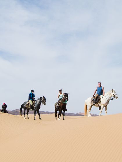 The Thrill of Horseback Riding in the Desert