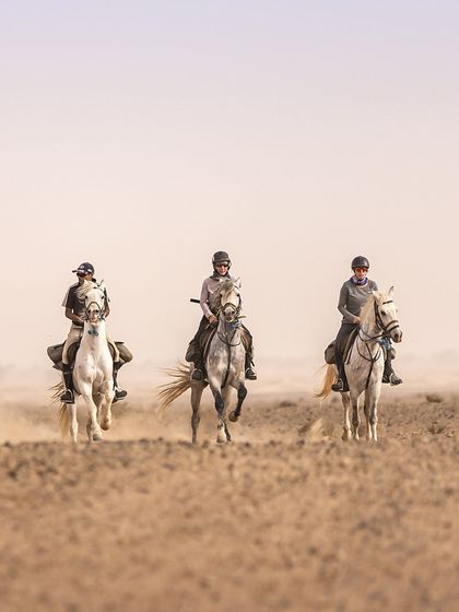 The Thrill of Horseback Riding in the Desert