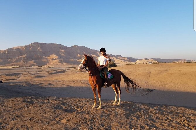 The Thrill of Horseback Riding in the Desert