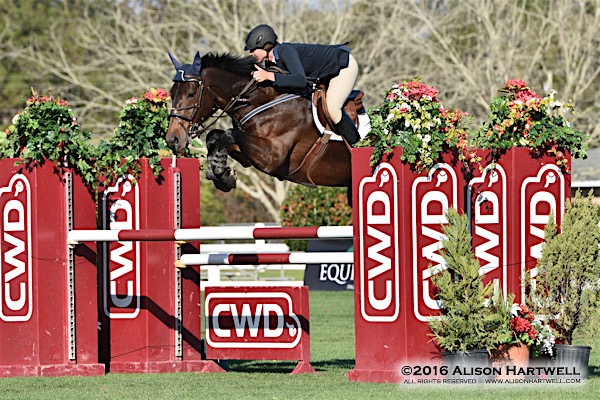 Tips for Choosing the Right Riding School for Beginners