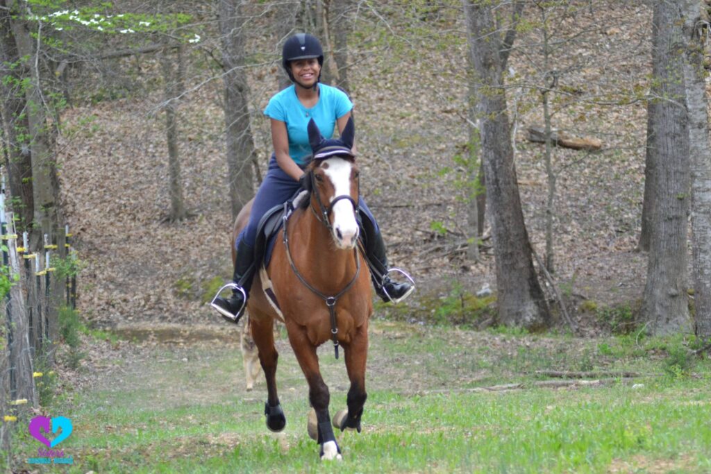 Tips for Choosing the Right Riding School for Beginners