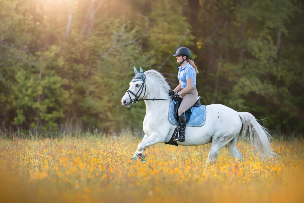 Tips for Horseback Riding in Different Weather Conditions