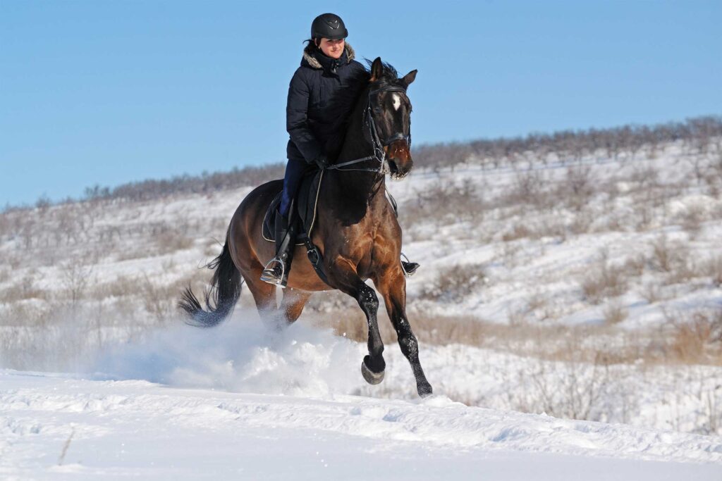 Tips for Horseback Riding in Different Weather Conditions