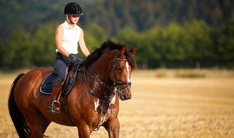 Tips for Horseback Riding in Different Weather Conditions