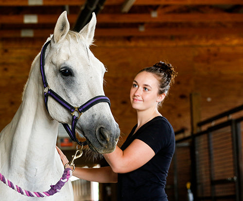 Tips for Horseback Riding with Allergies