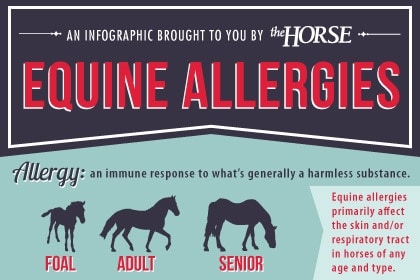 Tips for Horseback Riding with Allergies