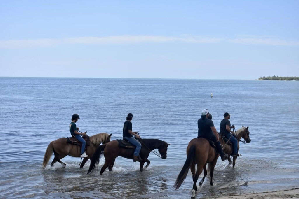 Unleashing Your Inner Adventurer through Horseback Riding