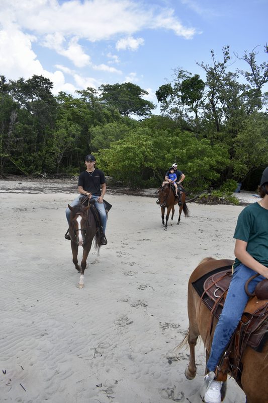 Unleashing Your Inner Adventurer through Horseback Riding