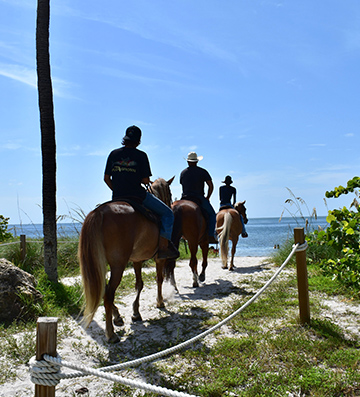 Unleashing Your Inner Adventurer through Horseback Riding