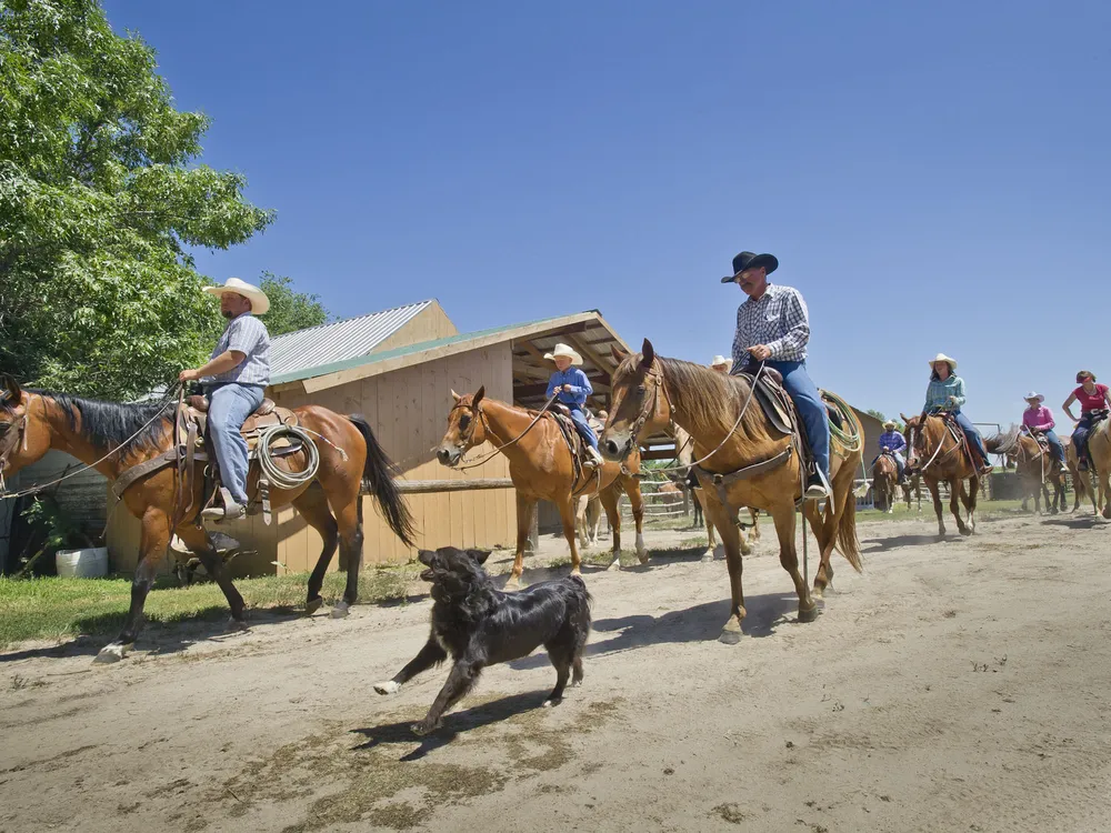 Unleashing Your Inner Equestrian through Horseback Riding