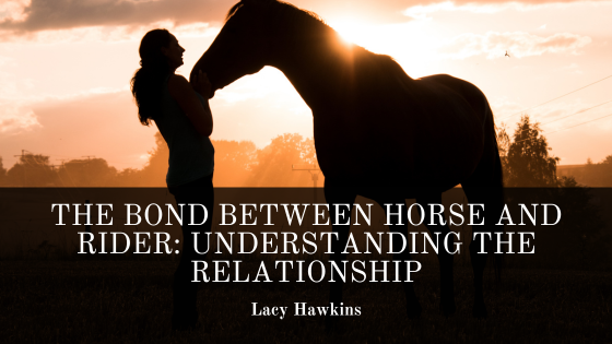 The Bond Between a Rider and their Horse: A Journey of Trust