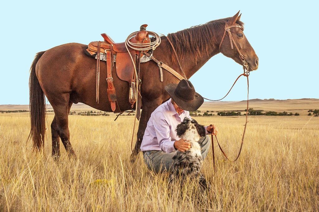 Unleashing Your Inner Dressage Rider through Horseback Riding