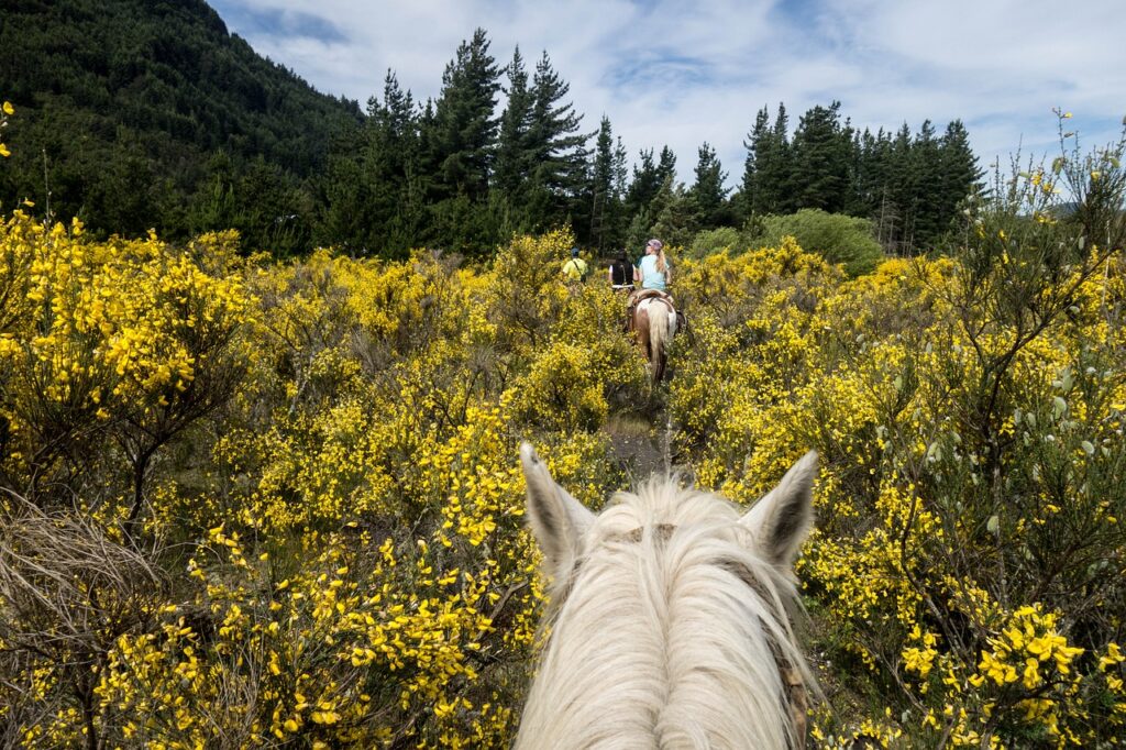 New Hampshire Horseback Riding Vacations