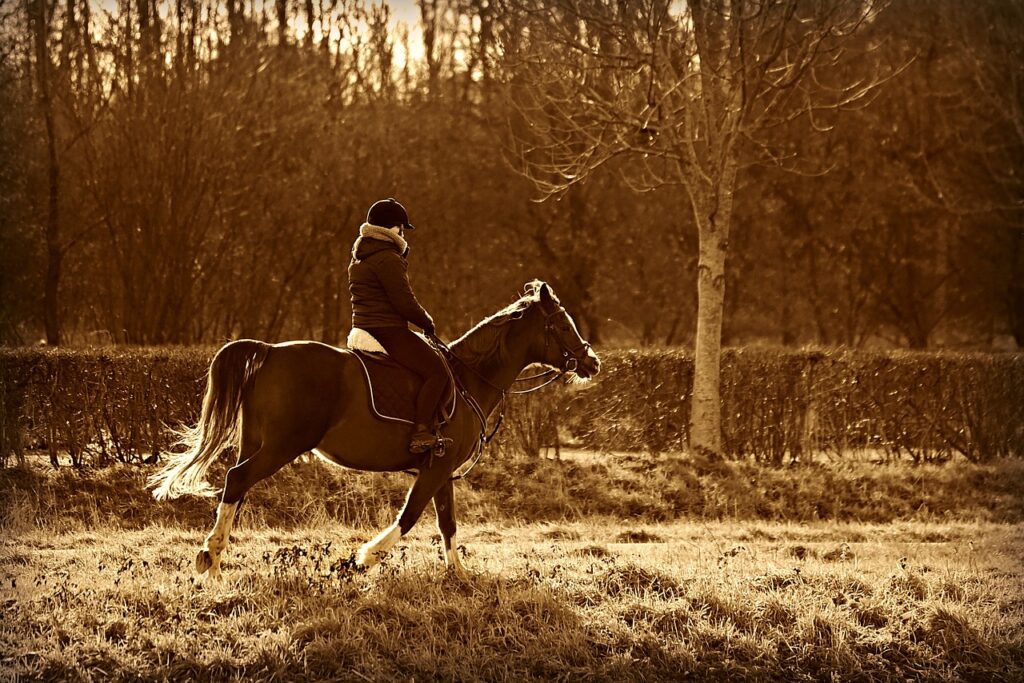 The Joy of Horseback Riding